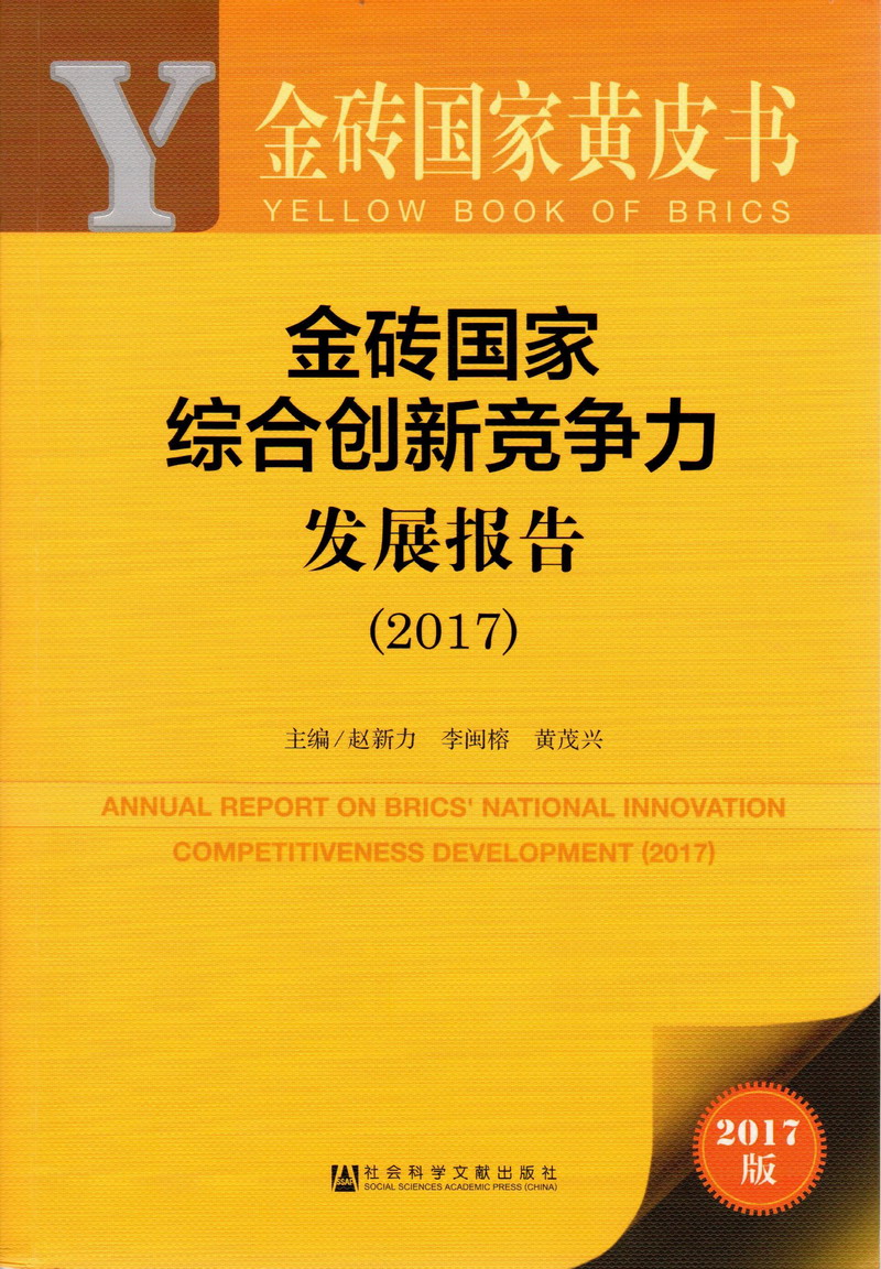 男人操裸体美女小穴到高潮视频金砖国家综合创新竞争力发展报告（2017）